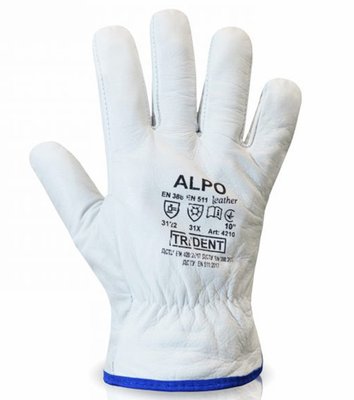 Перчатки TRIDENT ALPO арт 4210 кожаные на флисовой подкладке, р. 10 4210 фото