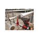 Чохол гумовий захисний MILWAUKEE для M18 FHIW2F12 4932493560 фото 2